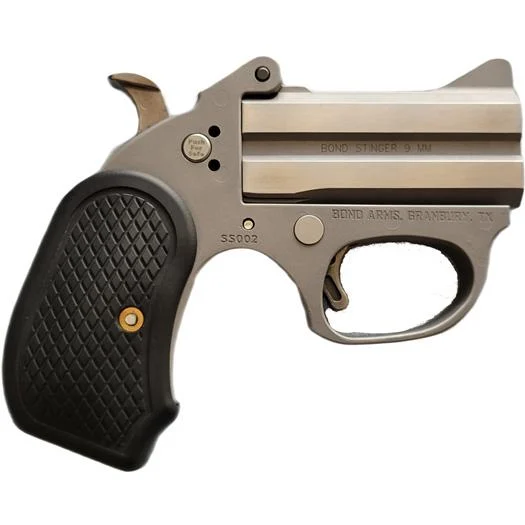 Bond Arms Honey-B .38 Special 3in Stainless B6 Extended Grip